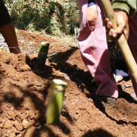 2 Batang Bambu Sebagai Nisan Kuburan Babi